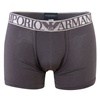 Armani SC 9W540 Dark Grey